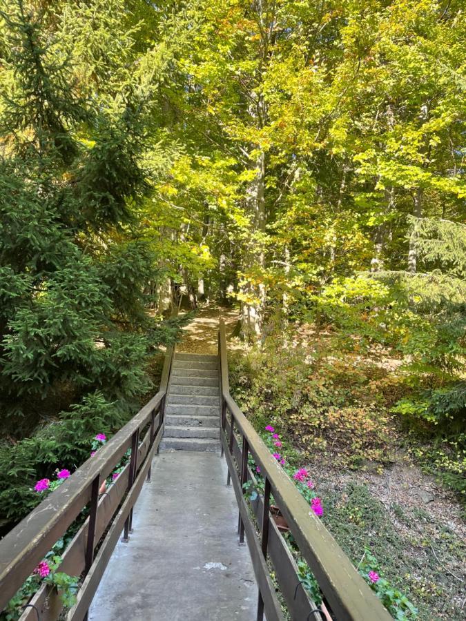 Charmant Studio En Pleine Nature 클링겐탈 외부 사진