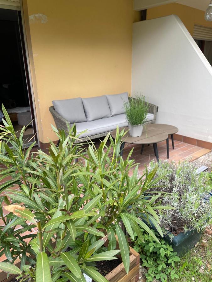 Charmant Studio En Pleine Nature 클링겐탈 외부 사진